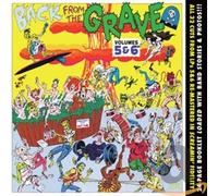 Various Artist - Back From The Grave 5 & 6