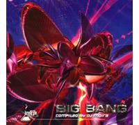 Various Artists Big Bang (CD) Album