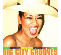 Various Artists Big City Grooves (CD)