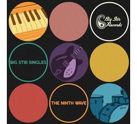 Various Artists Big Stir Singles: The Ninth Wave (CD) Album