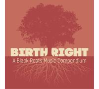 Various Artists Birthright: A Black Roots Music Compendium (CD) Album