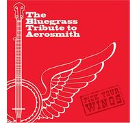 Various Artists - Bluegrass Tribute to Aerosmith: Pick Your