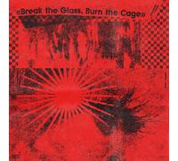 Various Artists Break the Glass, Burn the Cage: The Sound of Indie Pu (Vinyl LP)