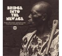 Various Artists Bridge Into the New Age (CD) Album