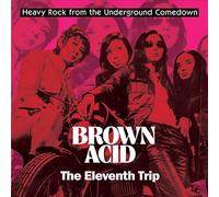 Various Artists Brown Acid: The Eleventh Trip (Vinyl LP) 12" Album