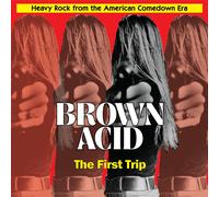 Various Artists Brown Acid: The First Trip (Vinyl LP) 12" Album