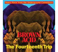 Various Artists Brown Acid: The Fourteenth Trip (CD) Album