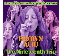 Various Artists Brown Acid: The Nineteenth Trip (Vinyl LP) 12" Album