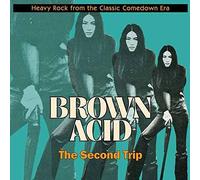 Various Artists Brown Acid: The Second Trip (Vinyl LP) 12" Album