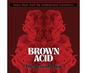 Various Artists Brown Acid: The Seventh Trip (CD) Album