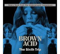 Various Artists Brown Acid: The Sixth Trip 12" Album