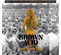 Various Artists Brown Acid: The Tenth Trip (Vinyl LP) 12" Album