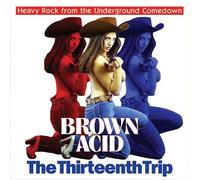 Various Artists Brown Acid: The Thirteenth Trip (Vinyl LP) 12" Album
