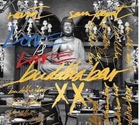 Various Artists - Buddha bar vol.20