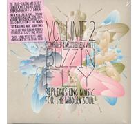 Various Artists - Buzzin Fly Vol 2