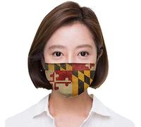 Various Artists - Carnaval 2011 Sambas De Enredo