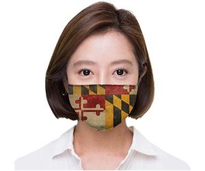 Various Artists - Carnaval 2011 Sambas De Enredo