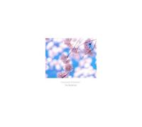 Various Artists - Concerto Damour