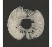 Various Artists Cycles II: Cyclic Law's 20th Anniversary Label Sampler (CD)