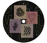 Various Artists DC4 Vol. 2 (Vinyl LP)