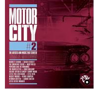 Various Artists Decorative Pillow Cover 22 X 22 Inch Aggressive Jungl (Vinyl LP)