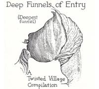 Various Artists Deep Funnels of Entry (CD) Album