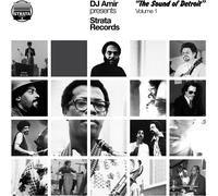 Various Artists DJ Amir Presents Strata Records: "The Sound of Detroi (Vinyl LP)