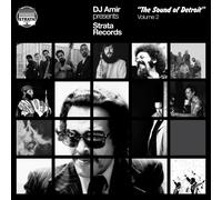 Various Artists DJ Amir Presents Strata Records: "The Sound of Detroit" (Vol. 2)