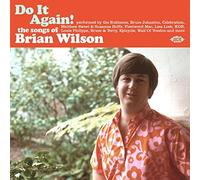 VARIOUS ARTISTS - Do It Again The Songs Of Brian Wilson - CD - E72z