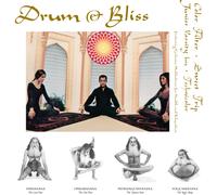 Various Artists Drum & Bliss (Vinyl LP)