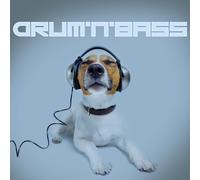 Various Artists - Drum 'N' Bass