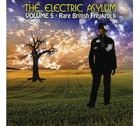 VARIOUS ARTISTS - ELECTRIC ASYLUM VOL 5 - CD - E72z