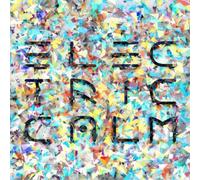 Various Artists Electric Calm - Volume 6 (CD) Album