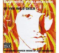 Various Artists Electronic Proclamations of the Wild Child (CD) Album