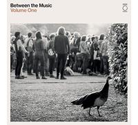 Various Artists Between the Music - Volume 1 (Vinyl LP) 12" Album