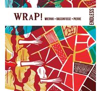 VARIOUS ARTISTS Endless (CD)