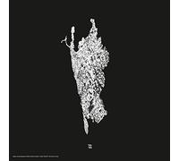 various artists - family$ stroboscopic various artists-v five years of artefact