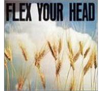 Various Artists - Flex Your Head
