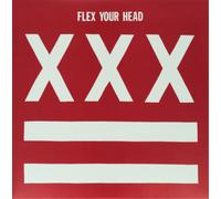 Various Artists Flex Your Head: A DC Sampler (Vinyl LP) 12" Album