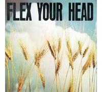 Various Artists - Flex Your Head (Reissue) (Coloured) (LP)