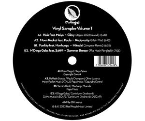 Various Artists Foliage Records: Vinyl Sampler Volume 1 (Vinyl LP) 12" EP