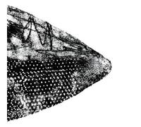 Compilation - For Christian H