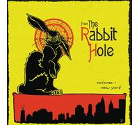 Various Artists From the Rabbit Hole / Various (Vinyl LP)
