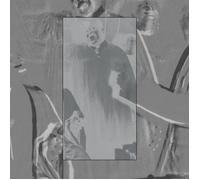 Various Artists Have You Heard About the World Coming to an End? (Vinyl LP)