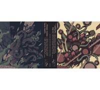 Various Artists In the Twilight, These Rocks Have Teeth (CD) Album