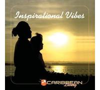 Various Artists Inspirational Vibes (CD)