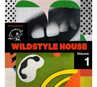 Various Artists Kapote Presents Wildstyle House, Volume 1 - Volume 1 (Vinyl LP)