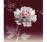 Various Artists - Late Afternoon Jazz