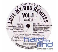 Various Artists - Lost My Dog Remixes Vol. 2