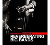 Various Artists Mad Music Presents Reverberating Big Bands (CD)